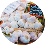 Organic Garlic